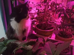 Немного об освещении, из моего опыта