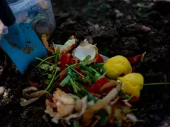 Что я закидываю в компостную яму