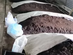 Производство биогумуса