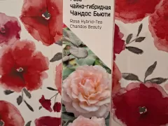 После неудачной попытки, купила новые розочки.