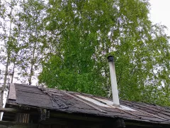 Эксперимент по озеленению крыши сарая