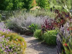 Планирование терапевтического сада