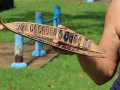 Прощаюсь с делониксом королевским