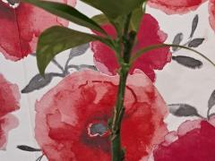 Апельсин Гамлин