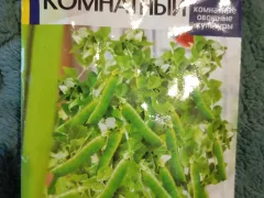 Зелёный горошек зимой на подоконнике - реальность?