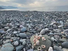 Сад камней и камни в саду