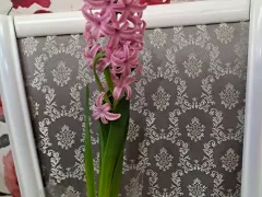 Неожиданный подарочек от дочки, требующий внимания.