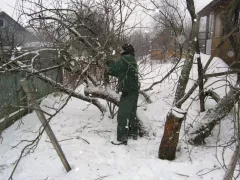Зимняя обрезка сада