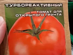Посадка на рассаду томата Турбореактивный. 