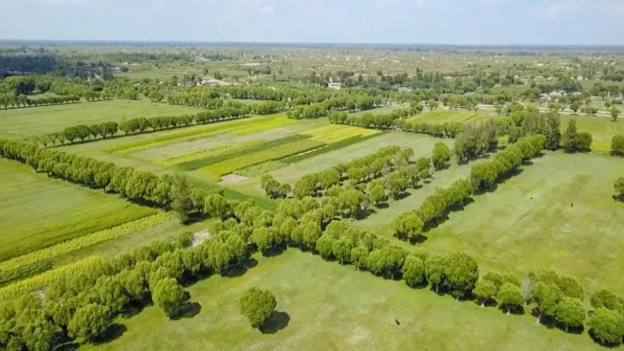 Великое озеленение пустыни