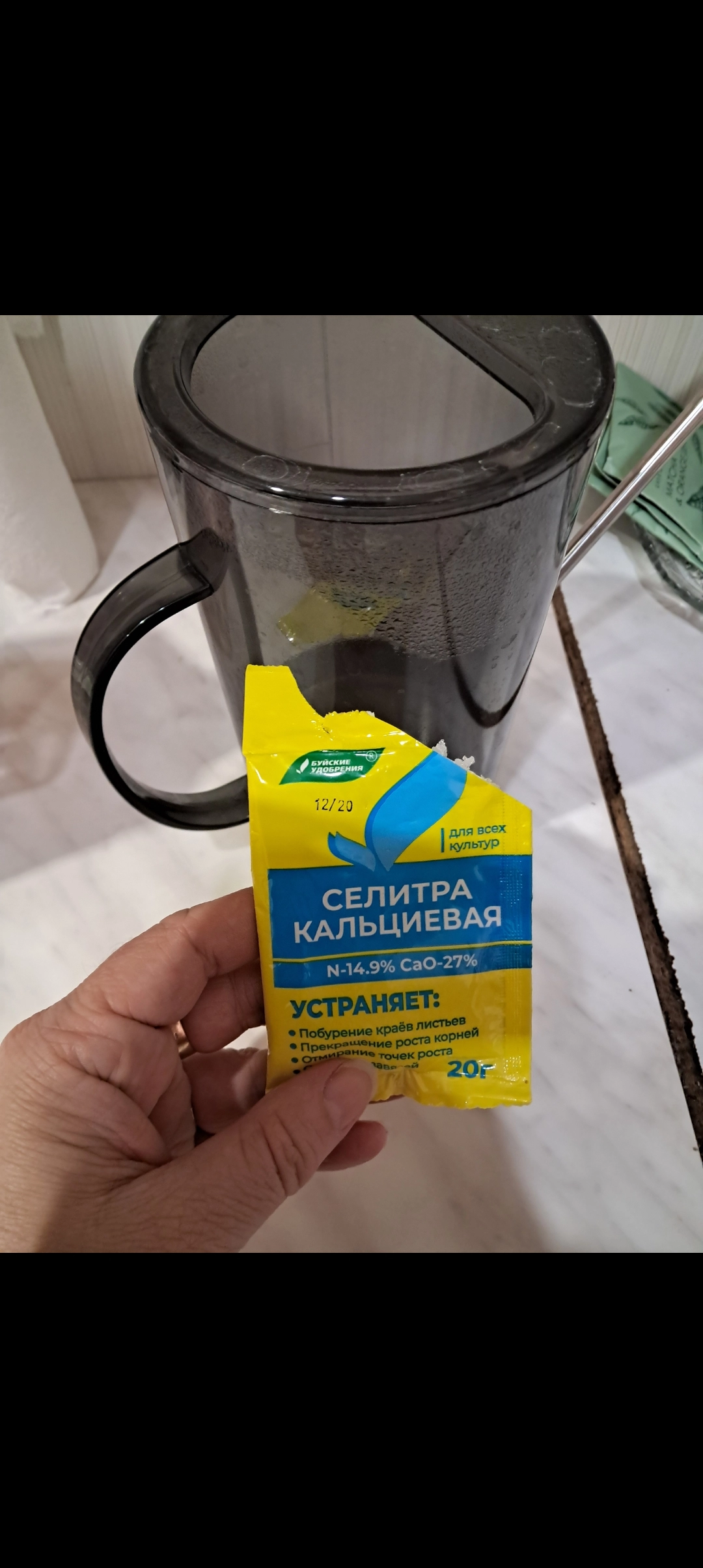 Весна - самое время удобрять мои цитрусы кальциевой селитрой.