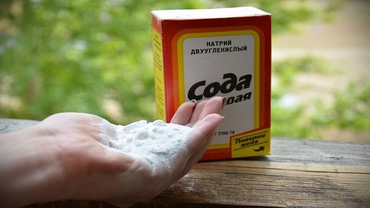 Применение соды на садовом участке