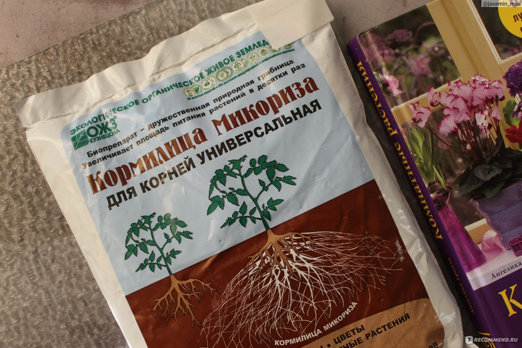 Каким растениям микориза не нужна
