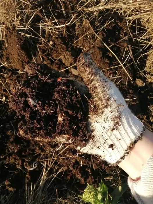 Маленькое садовое волшебство: делаем компост