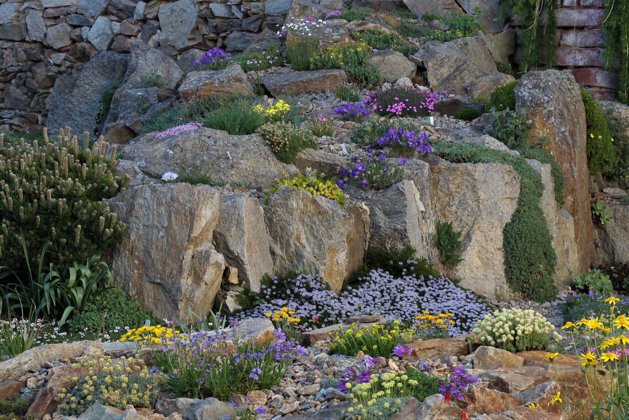 Каменный сад японский сад (43 фото)