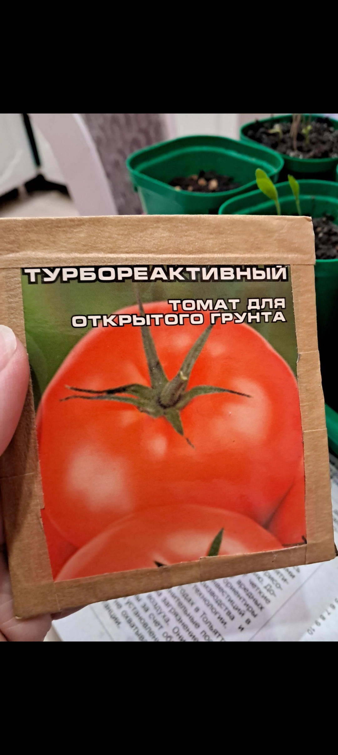 Посадка на рассаду томата Турбореактивный.